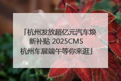 杭州发放超亿元汽车焕新补贴 2025CMS杭州车展端午等你来逛